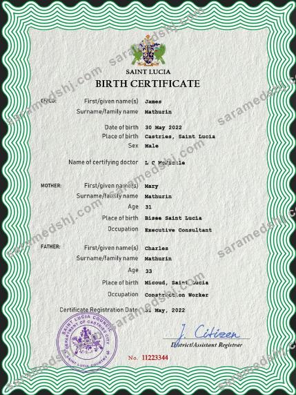 Saint Lucia vital record birth certificate PSD template